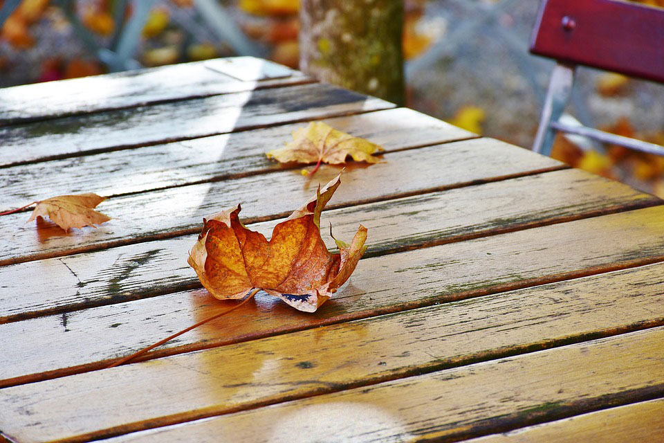 Autumn gardening Rotherham Sheffield Doncaster