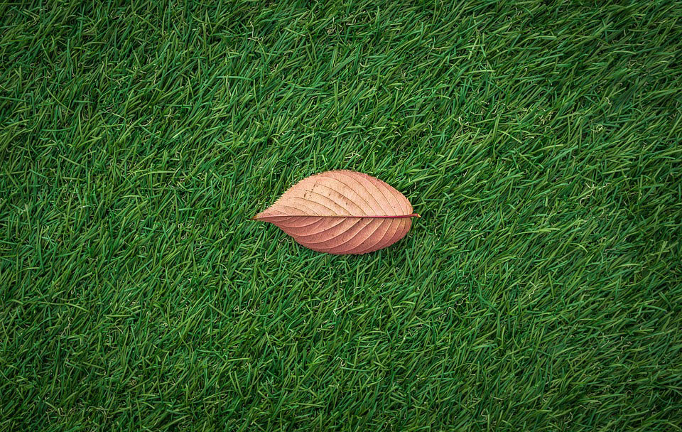 autumn turf laying Rotherham Doncaster Sheffield