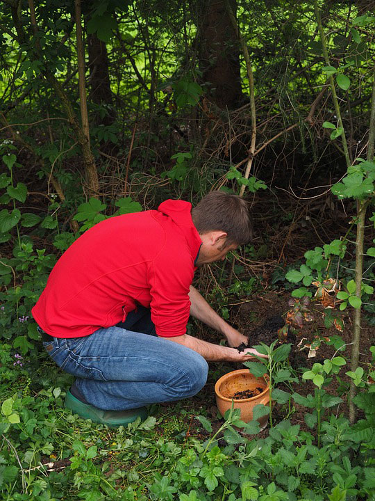 plant lifting gardener Rotherham Doncaster Sheffield