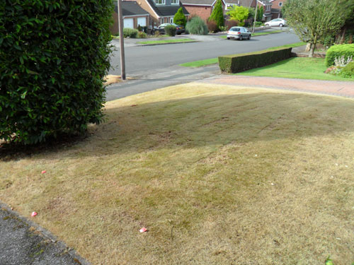 Before returfing in Rotherham Sheffield before
