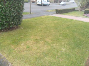 During returfing in Rotherham Sheffield during