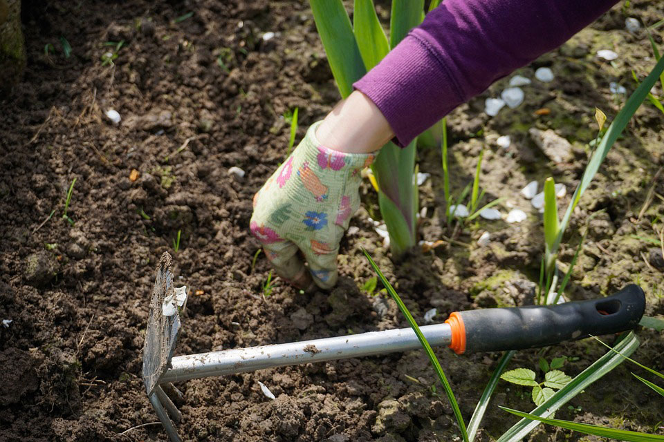 spring garden maintenance Rotherham Sheffield Doncaster