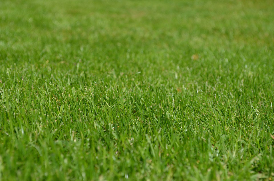 turf laying service Rotherham